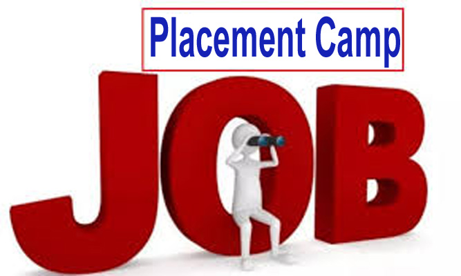 District Employment and Entrepreneurship Bureau to organize placement camp on August 8